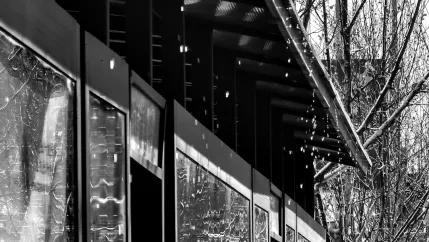 Casino Royal Valley Farsímaforrit